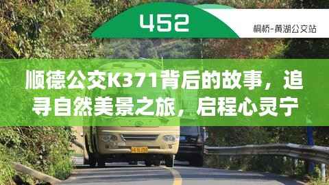 顺德公交K371背后的故事,追寻自然美景与心灵宁静之旅