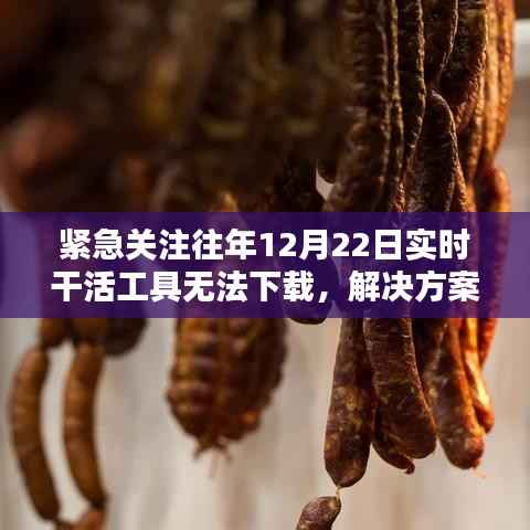 紧急应对,往年12月22日实时干活工具下载故障解决方案与替代选择指南!