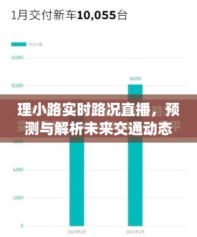 未来交通动态解析与实时路况直播,理小路交通预测报告(2024年12月22日)