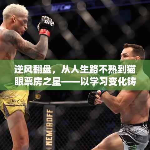 逆风翻盘,从新人蜕变至猫眼票房之星的学习之旅,自信铸就成就之路