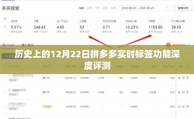 拼多多实时标签功能深度评测,历史性的12月22日观察