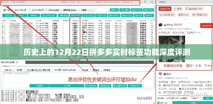拼多多实时标签功能深度评测,历史性的12月22日观察