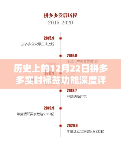 拼多多实时标签功能深度评测,历史性的12月22日观察
