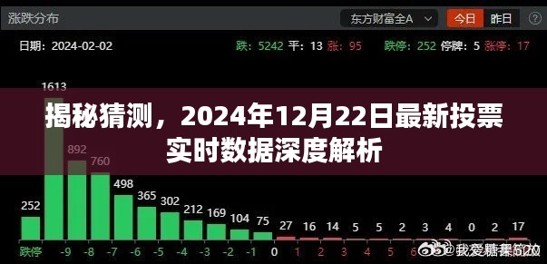 揭秘猜测,深度解析2024年12月22日最新投票实时数据报告