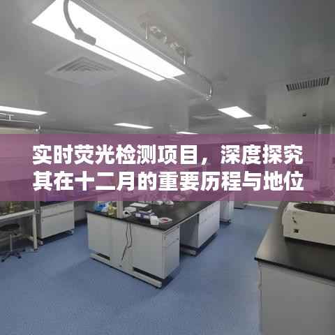 实时荧光检测项目,十二月重要历程与地位深度探究