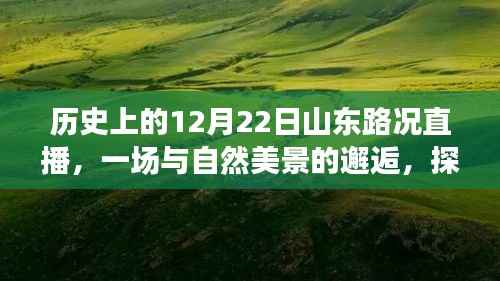 历史上的山东路况直播,与自然美景的邂逅与内心平静之旅