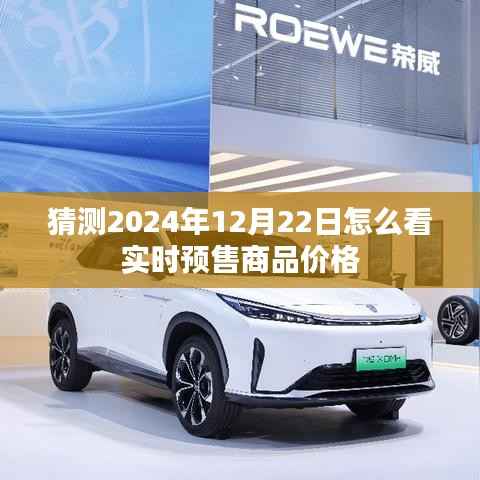 2024年12月22日实时预售商品价格预测与猜测