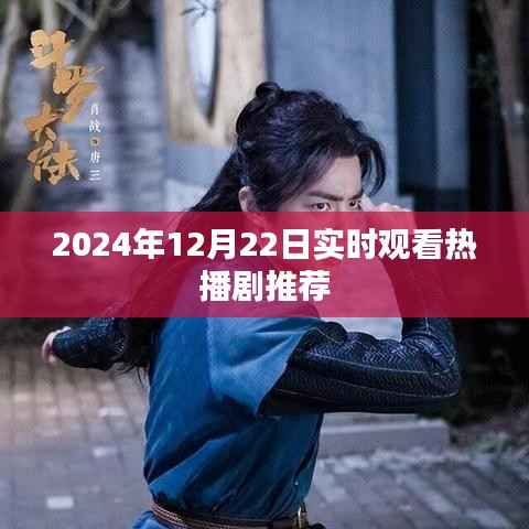推荐热播剧,实时观看指南(2024年12月22日)