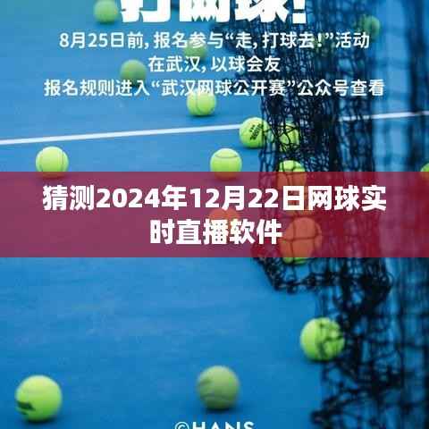 预测,2024年网球直播软件实时观看体验分享