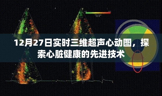 实时三维超声心动图,心脏健康的探索之旅