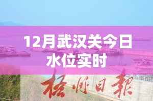 武汉关今日实时水位观察