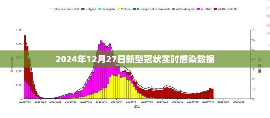 全球关注,2024年12月27日新型冠状病毒实时感染数据报告