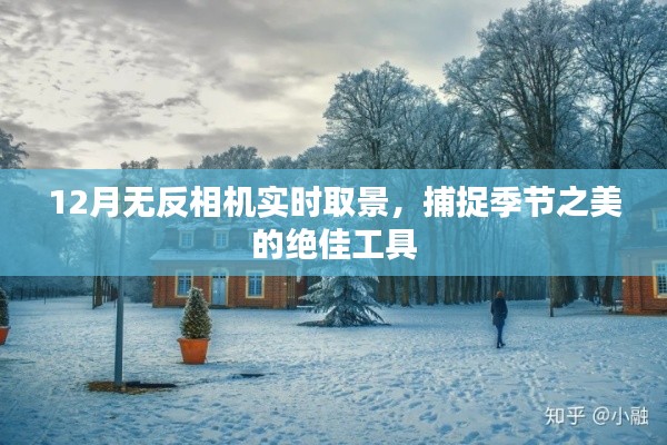 12月无反相机,实时取景,捕捉季节之美