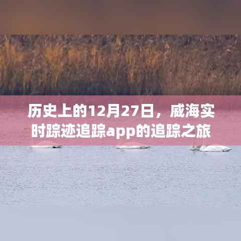历史上的威海实时追踪app的追踪之旅,揭秘威海追踪app的发展历程