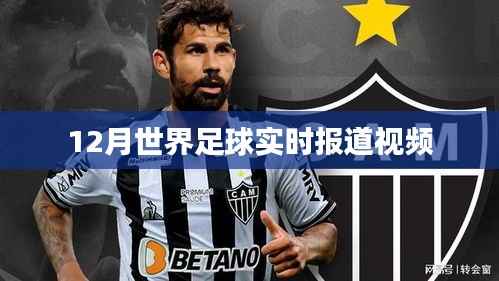 足球赛场风云变幻,最新实时报道视频来袭