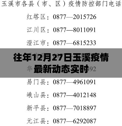 玉溪往年12月27日疫情最新动态更新