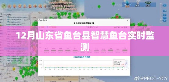 智慧鱼台实时监测系统上线,鱼台县环境数据尽在掌握