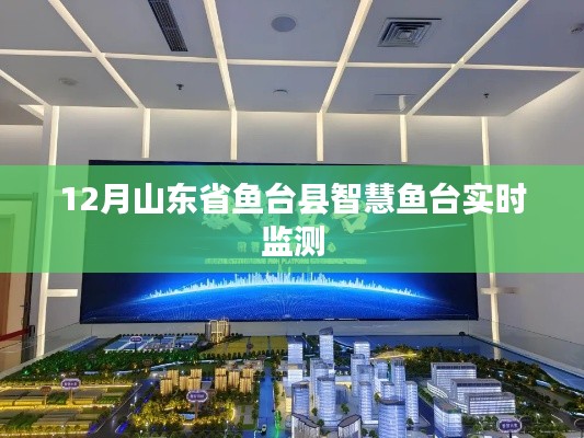 智慧鱼台实时监测系统上线,鱼台县环境数据尽在掌握