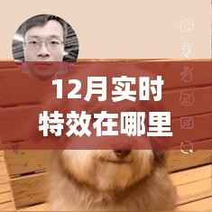 12月特效实时更新,惊艳你的视觉!