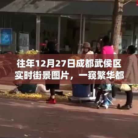 成都武侯区实时街景图片,一探都市繁华脉搏