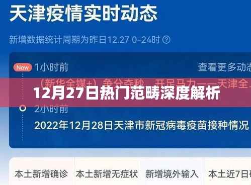 热门范畴深度解析,揭秘热点背后的故事
