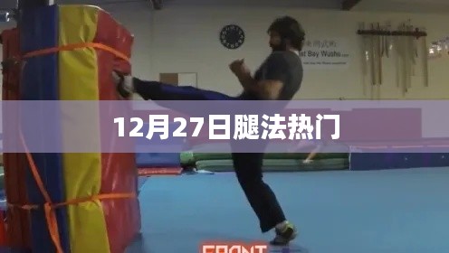 12月27日腿法热潮来袭