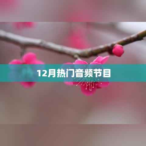 12月热门音频节目推荐，不容错过！