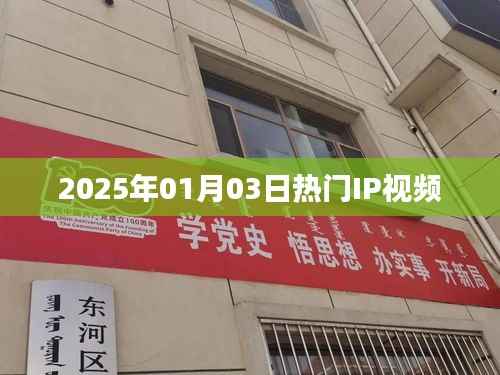 2025年热门IP视频概览