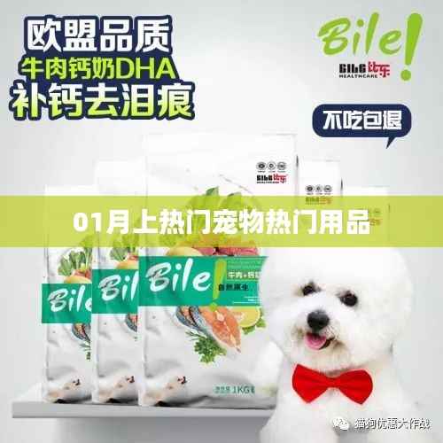 宠物热门用品榜单出炉,一月精选推荐