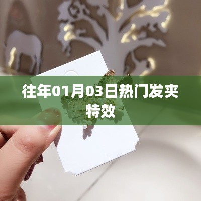 正声雅音 第3页