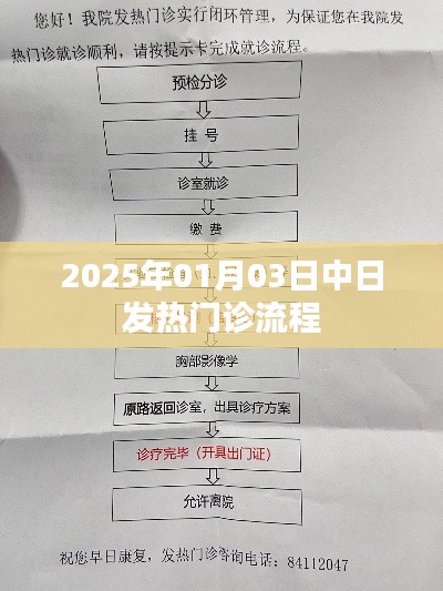 中日发热门诊流程对比,2025年1月3日数据解析