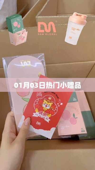 热门小赠品风潮来袭,精选礼品一网打尽!