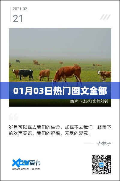 01月03日热门图文大汇总