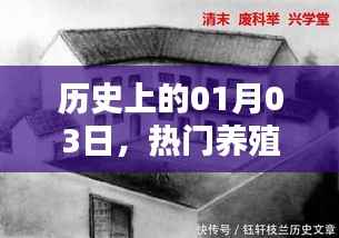 热门养殖消毒灰的历史时刻,一月三日回顾