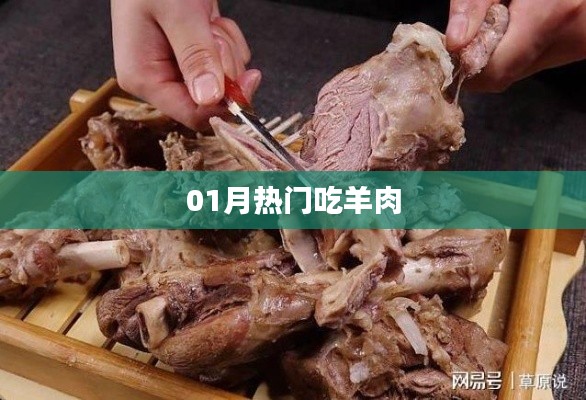 冬季羊肉美食风潮来袭,一月热门羊肉食谱推荐
