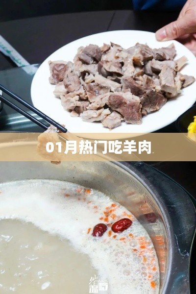 冬季羊肉美食风潮来袭,一月热门羊肉食谱推荐