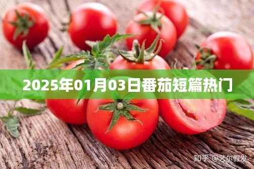 『2025年热门番茄短篇佳作一览』