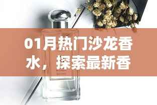 最新热门沙龙香水,探索时尚魅力与香气之旅