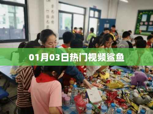 热门视频揭秘,鲨鱼世界探秘之旅(最新更新)