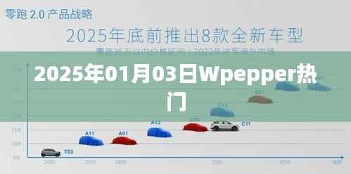 Wpepper热门事件回顾,2025年1月3日一览
