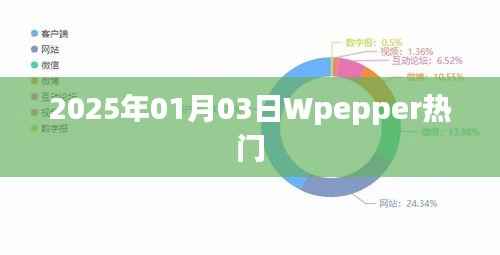 Wpepper热门事件回顾,2025年1月3日一览