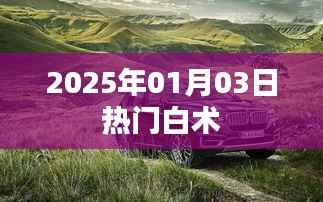白术市场趋势分析,揭秘未来热门白术风采