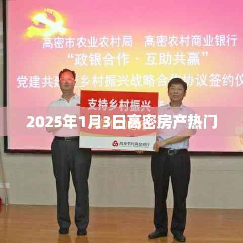 高密房产市场热门趋势,聚焦2025年1月3日动态