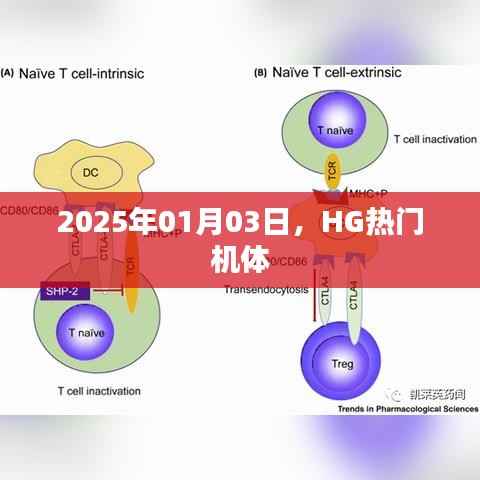HG热门机体,揭秘未来机体趋势预测(最新资讯)