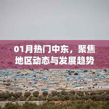 中东动态聚焦,地区发展及热门趋势