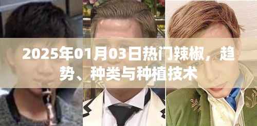 2025年辣椒流行趋势、种类与种植技术探讨