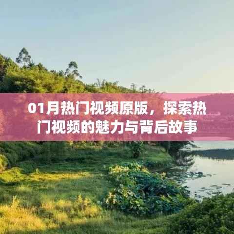 热门视频原版探秘,魅力与背后故事一网打尽