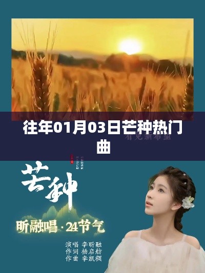 往年元旦后芒种流行曲盘点