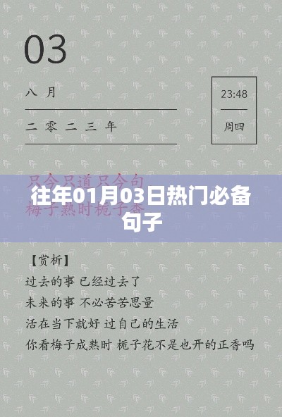 精选热门必备句子,助你轻松应对社交场合