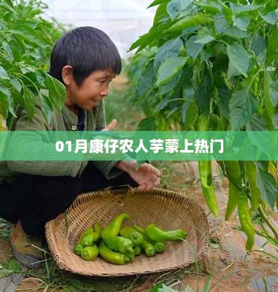 康仔农芋蒙火爆一月,热门乡村美食揭秘